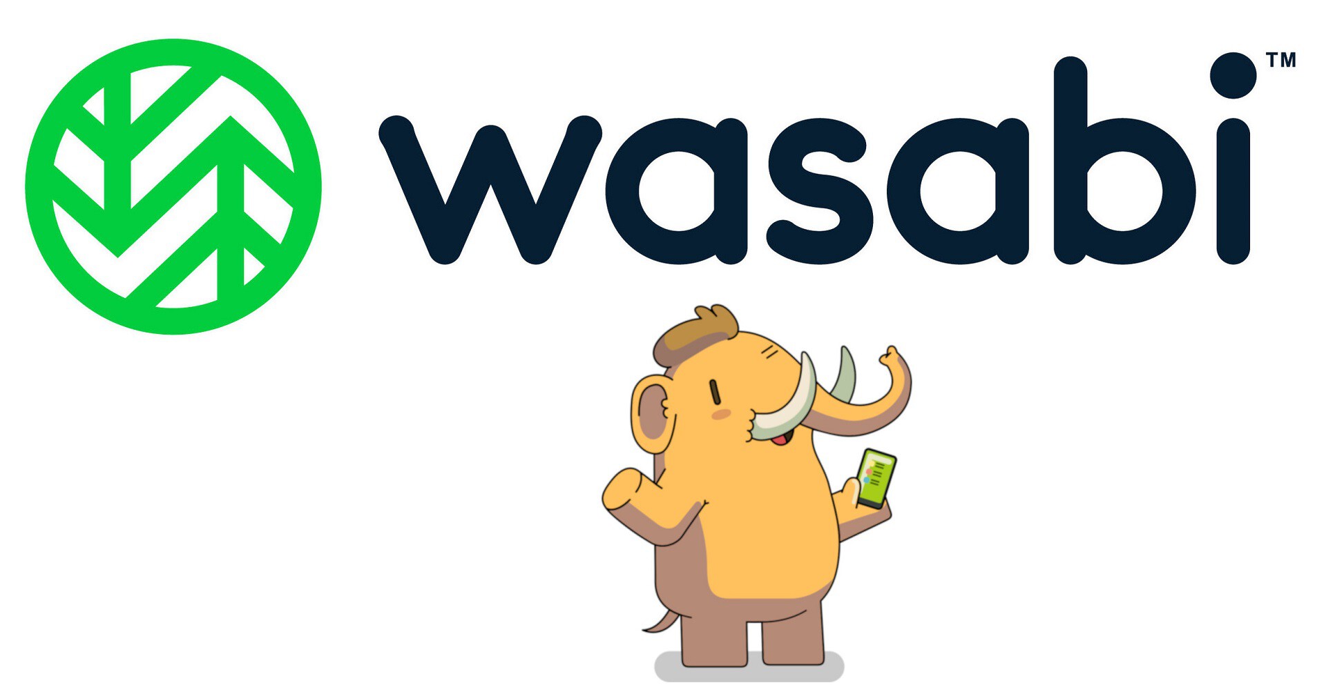 Comprehensive tutorial to move your Mastodon's media files over Wasabi's S3-like service